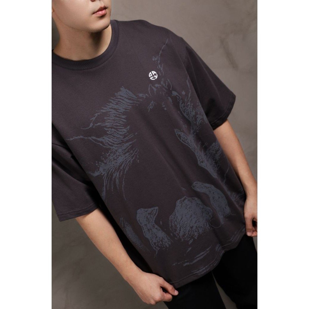 DACH Dark Horse Oversized Tshirt